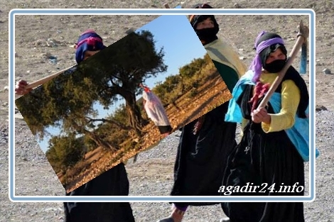 أوضاع النساء