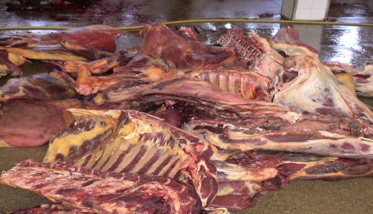 خطير جدا : حجز كمية مهمة من اللحوم الفاسدة تقدم في مطعم شهير بأكادير