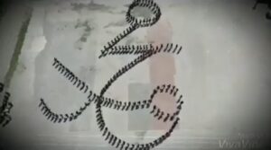 الشرطة