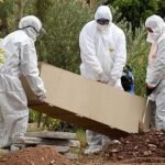 فيروس كورونا