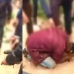 أمريكا : 6 أصوات للمجمع الإنتخابي تفصل “جو بايدن” عن الرقم السحري “270” لولوج  البيت الابيض  (النتائج مؤقتة)