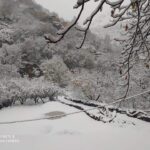 FB IMG 1606314902700