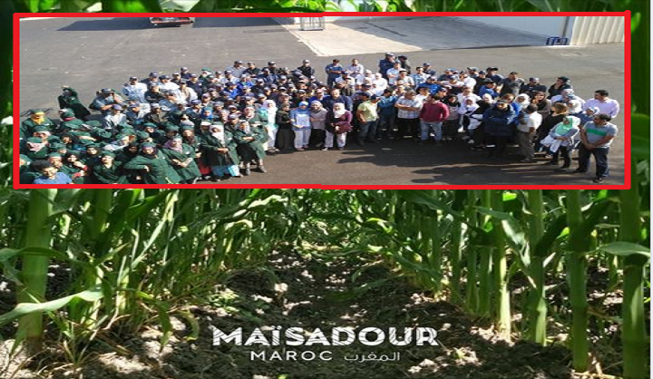 أكادير: إشادة وامتنان بعد دينامية جديدة يشهدها فرع الشركة العالمية “مايزدور ماروك”