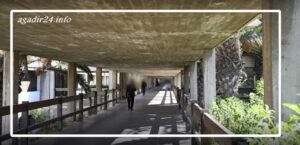 فيروس كورونا