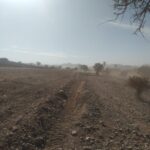 الطريق الإقليمية 1903 4
