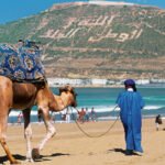 سوس ماسة