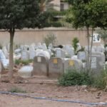 فيروس كورونا المغرب