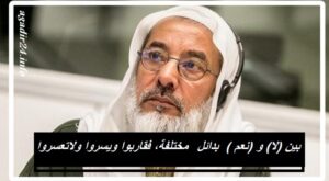 بين (لا) و (نعم )