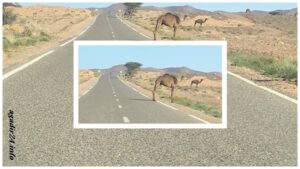تنغير