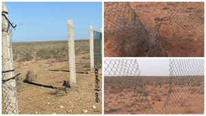 الرعاة الرحل