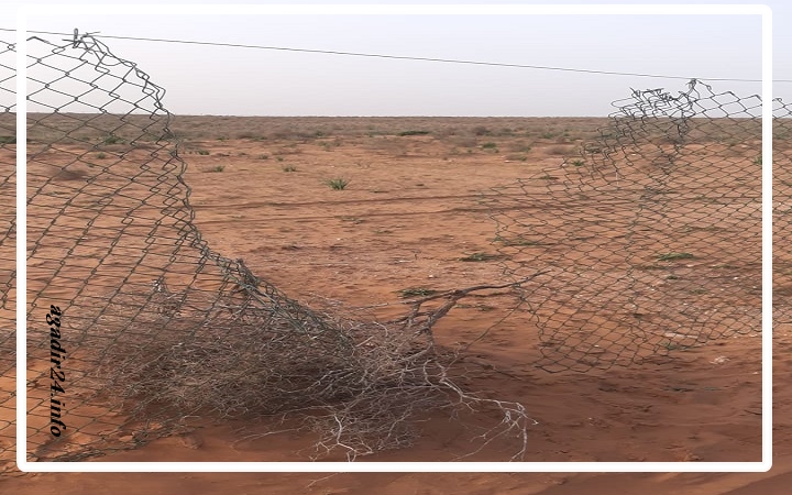 المراعي بتزنيت 5