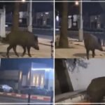 أكادير