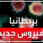 السلالة الجديدة