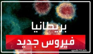 معلومات عن السلالة الجديدة من فيروس كورونا المعدية أكثر، و المقلقة لعلماء الأوبئة. 6 السلالة الجديدة