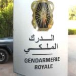 مواطن