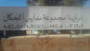 طاطا