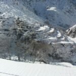 وزير التربية الوطنية يعفي مسؤولين بارزين من مهامهم.