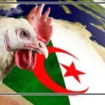 كورونا المغرب : الوضع الوبائي يوقع على تسجيل تحسن ملحوظ،… التفاصيل الكاملة بالأرقام.