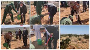 تيزنيت : وفد من المسؤولين يشرف على غرس 100 هكتار من شجر الأركان بأحد دواوير الإقليم 12 شجر الأركان 1