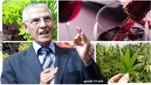 الداودي يخالف تعليمات العثماني ويرد على بنكيران "مثل الكيف، مثل العنب". 9 الداودي 1
