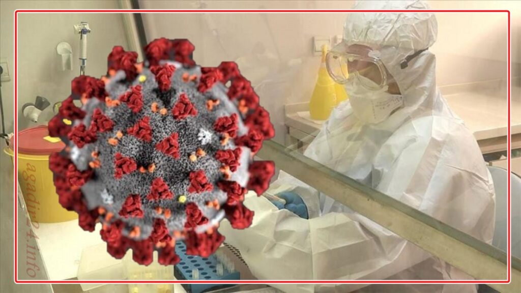 حصيلة كارثية من الإصابات و الوفيات بفيروس كورونا يوما واحداً قبل حلول عيد الأضحى.
