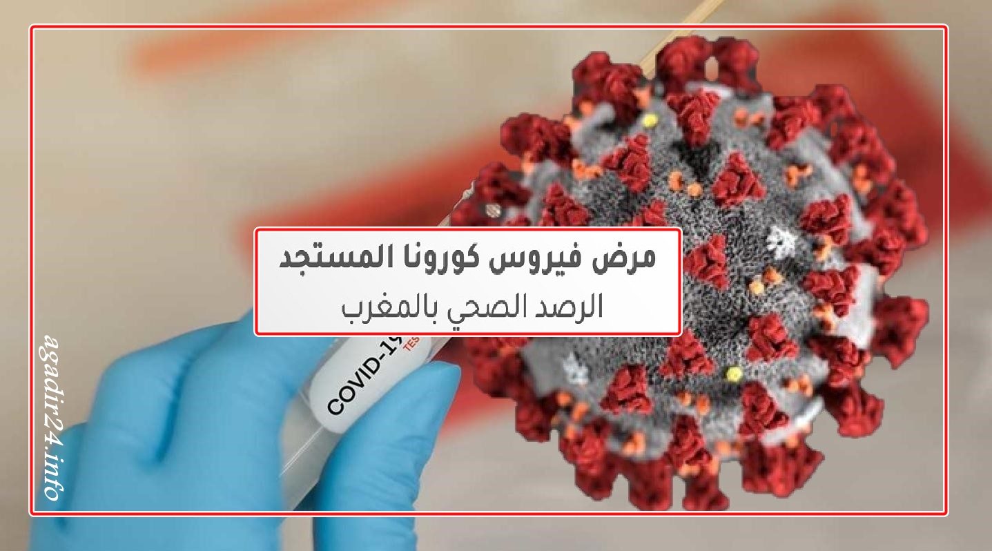 الحصيلة