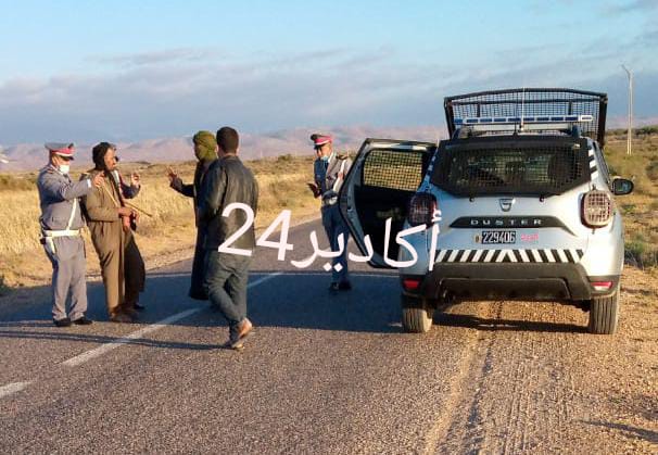 جحافل من الابل 1