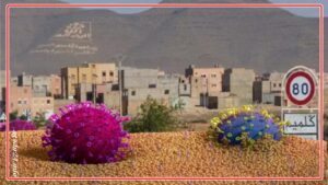 صادم بالجنوب: تسجيل حالات مؤكدة جديدة مصابة بالسلالة المتحورة من كورونا وسط تخوف شديد من تنامي انتشار الوباء. 2 كلميم السلالة المتحورة