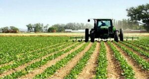 فلاحون يشكون سوء تدبير القطاع الفلاحي باشتوكة.