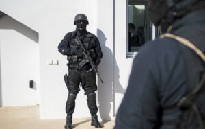 عناصر البسيج