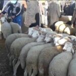 دلالات استثناء المملكة المغربية للأراضي الإسبانية من عملية مرحبا: