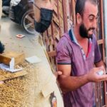 هام : مواعيد فتح سوق الأحد بأكادير بمناسبة عيد الأضحى المبارك