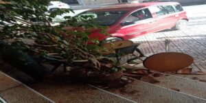 سيارة مجنونة تقتحم مقهى ضواحي أكادير في مشهد مروع