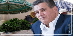 أخنوش النعناع