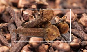 فوائد القرنفل العجيبة لجسم الانسان .