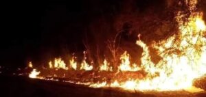 سوس ماسة : اندلاع النيران بضيعة مرشح حزبي.. صدفة أم تصفية حسابات ؟