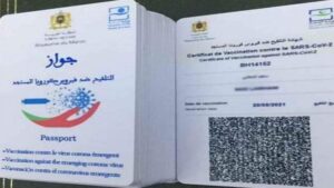 تعليق الرحلات الجوية وجواز التلقيح.. هل هي بداية لتشديد التدابير الاحترازية من جديد ؟ 7 جواز التلقيح 1