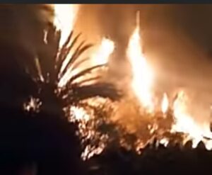 حريق مهول يلتهم واحة معروفة بأكادير +”صور”