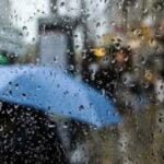 مربو الدواجن يراسلون الوزير صديقي بشأن الزيادة في الأسعار