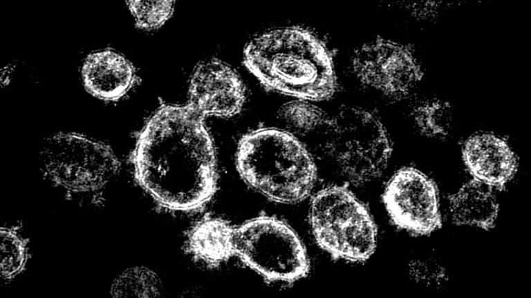 سلالة “بوتسوانا” الجديدة تعجل بعقد الصحة العالمية اجتماعا طارئا