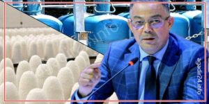 لقجع يطمئن المغاربة : “أسعار المواد المدعمة عبر صندوق المقاصة لن تعرف أي تغيير” 12 لقجع 1