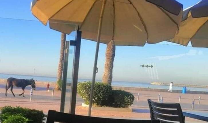 كورنيش أكادير