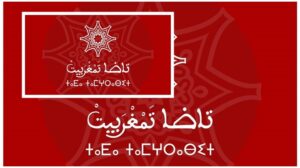 تاضا تمغربيت