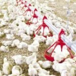 جو بارد نسبيا مع تكون صقيع محلي.. توقعات أحوال الطقس لليوم الخميس بالمغرب