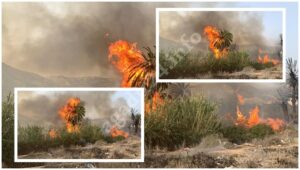 مستجدات عملية إخماد الحريق الغابوي شمال المغرب. 3 حريق