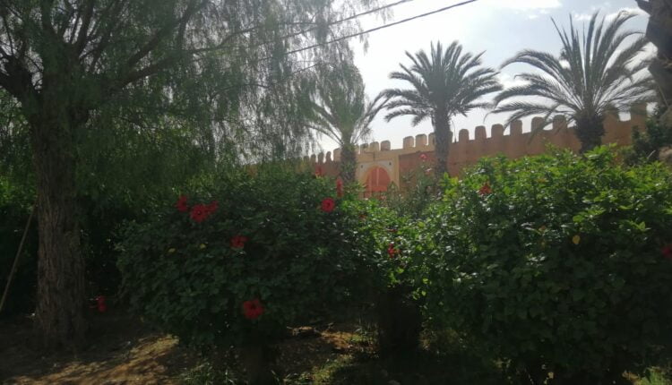 حديقة المقاوم الزرقطوني 2