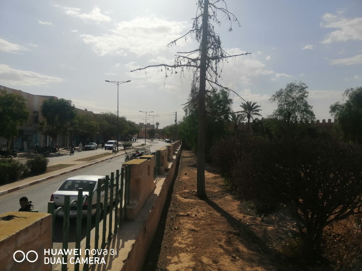 حديقة المقاوم الزرقطوني 5