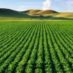 ٱخر تطورات الحرب اليوم الاثنين : زيلينسكي يجدد مطالبته حلف شمال الأطلسي (ناتو)، و 35 قتيلا حصيلة الهجوم على قاعدة أوكرانية.