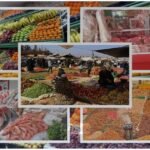 تقرير عن أشغال اجتماع مجلس الحكومة -الخميس 10 مارس 2022