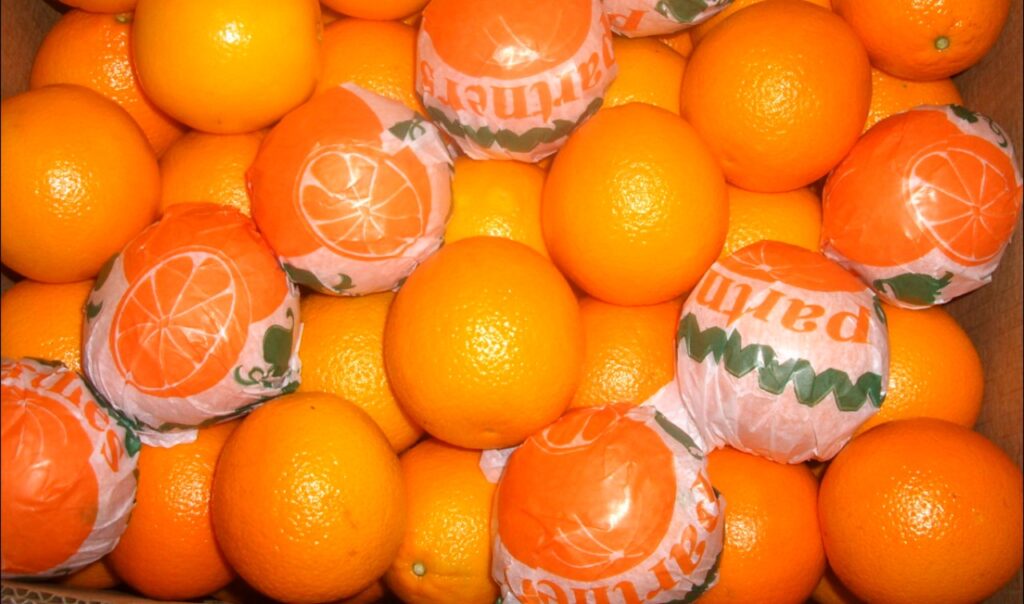البرتقال المغربي